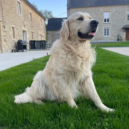 Tatil Evi Du Douet De Moulagny