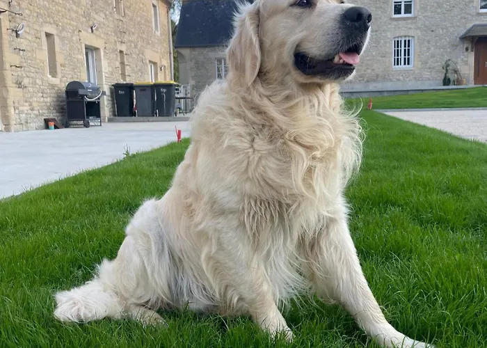 Holiday home Du Douet De Moulagny